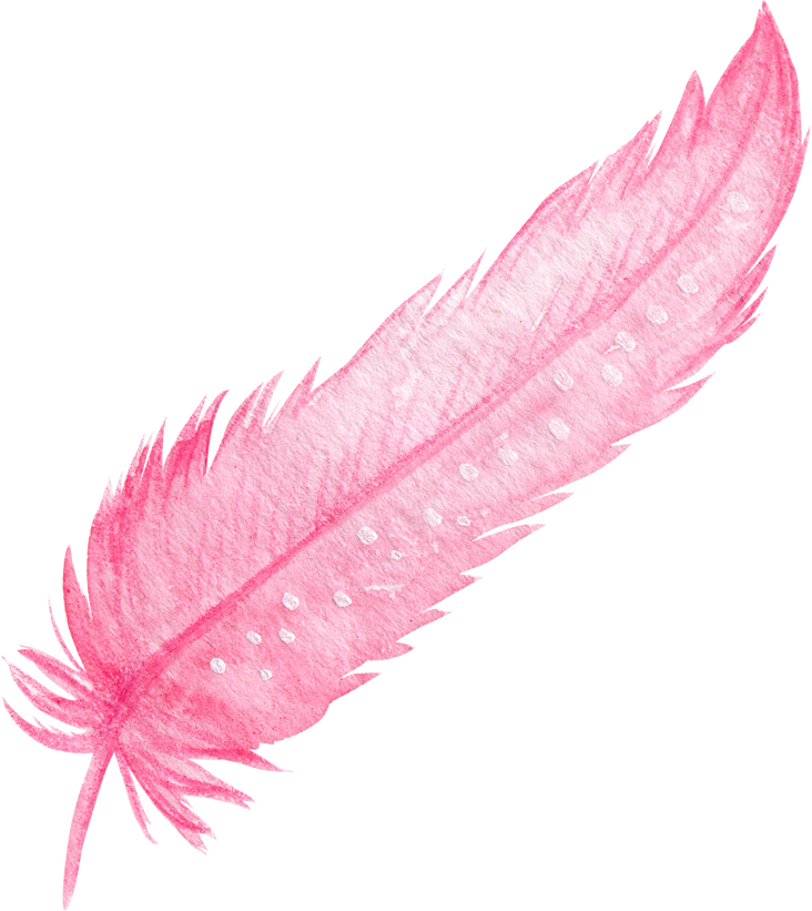 Watercolor of Pink Feather Cutout